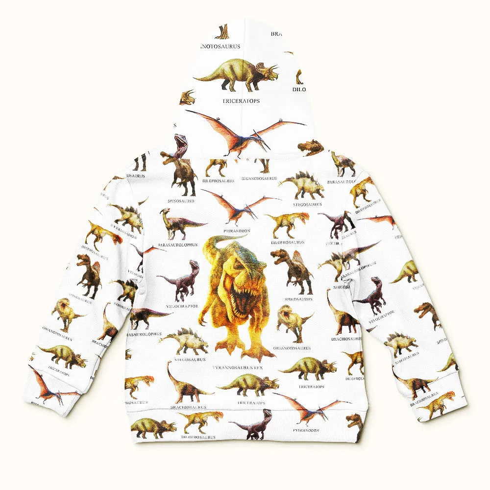 3D Dinosaur Collection Kid Hoodie QT4112602