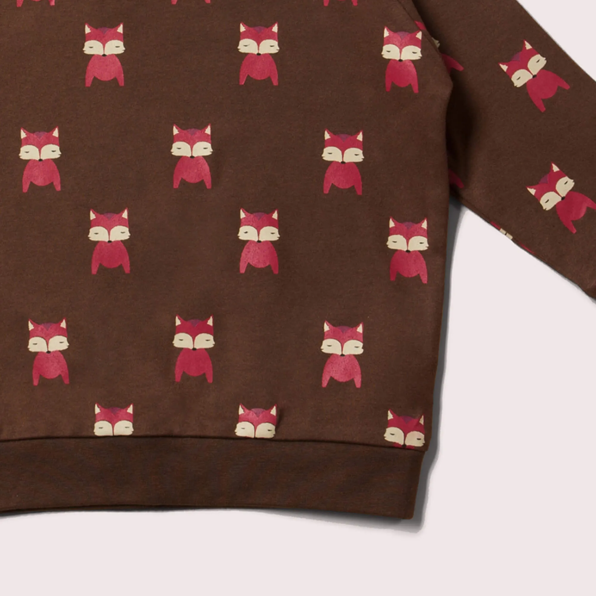 Autumn Foxes Long Sleeve Raglan Sweatshirt