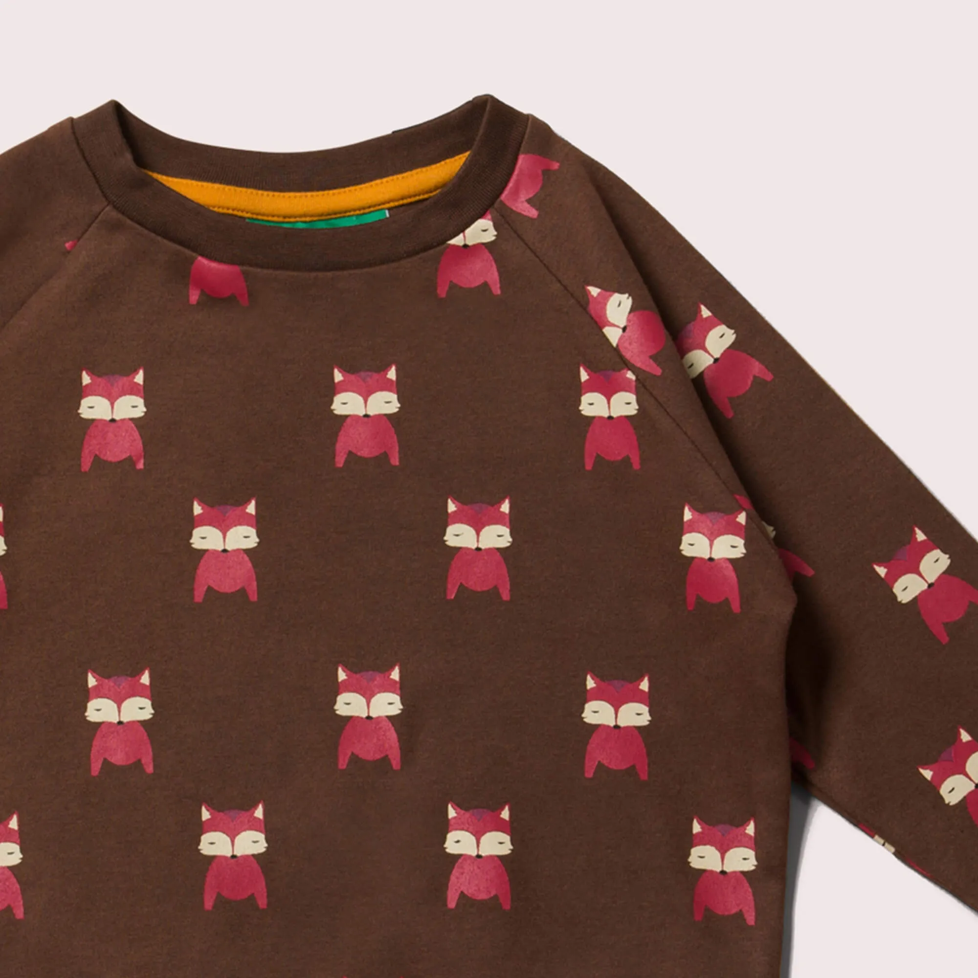 Autumn Foxes Long Sleeve Raglan Sweatshirt