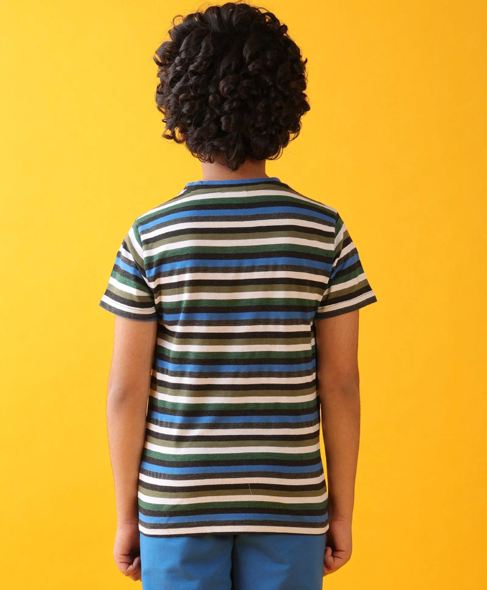 BLUE GREEN WHITE STRIPED BOYS SHORT SLEEVES T-SHIRT - MULTI