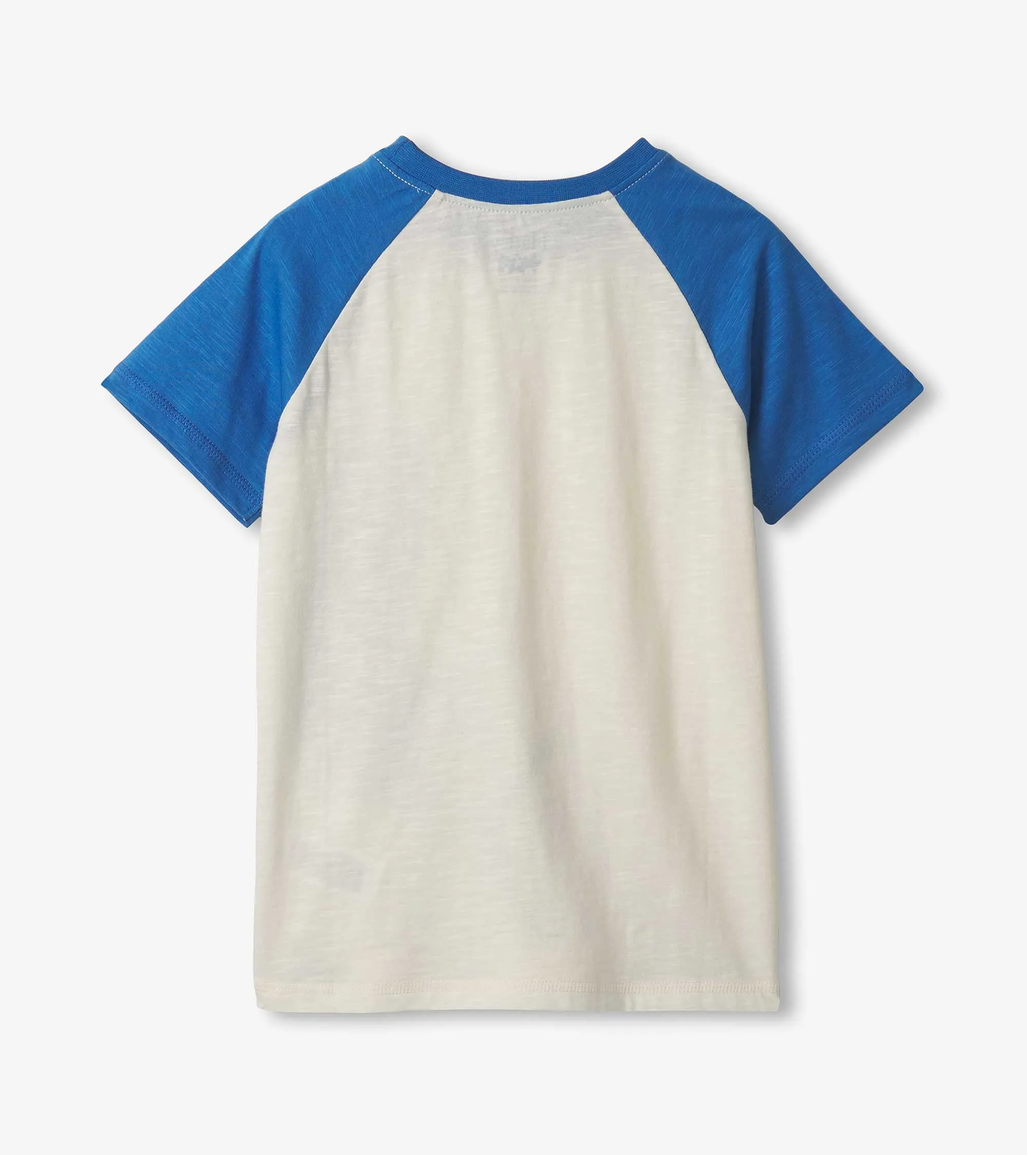 Boys Blue Shark Raglan T-Shirt