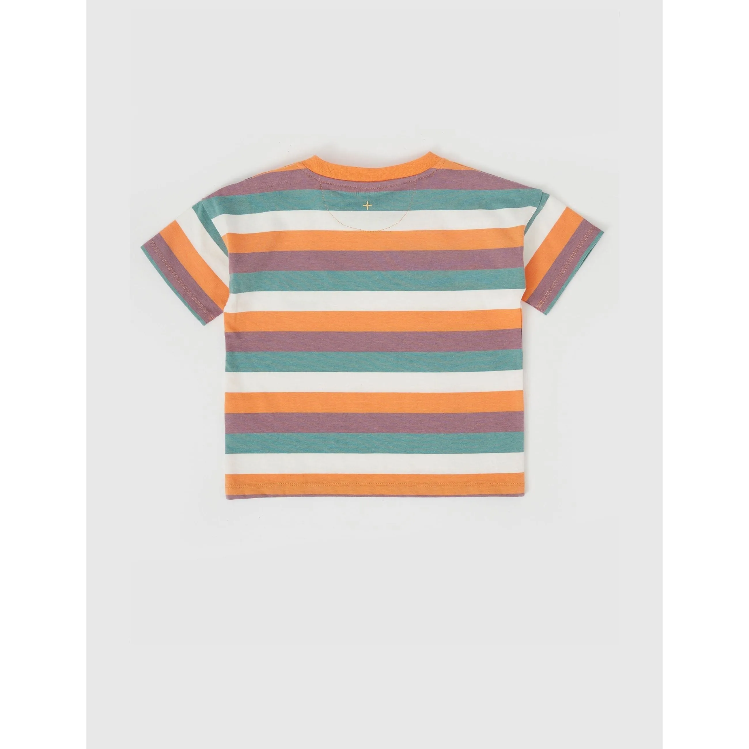 Dino Valley Nostalgia Stripe T-Shirt