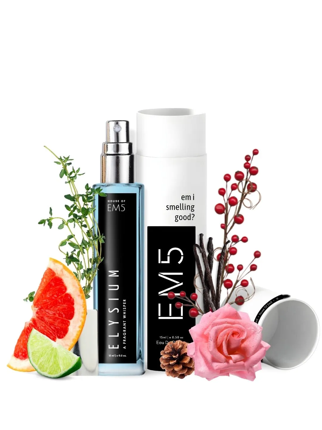 EM5™ Elysium Perfume EDP Spray for Men | Aromatic Citrus Amber Fresh Spricy Fragrance | Luxury Gift for Him | Variants Available: 50 ml Spray / 15 ml Spray