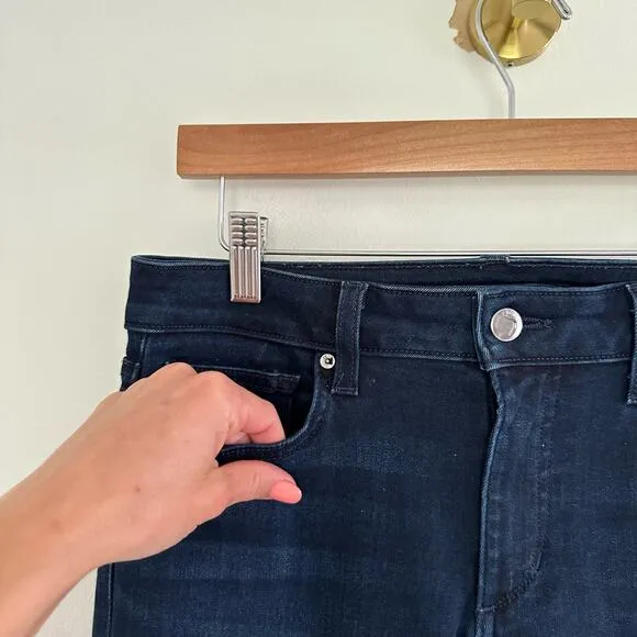 Hudson Krista Super Skinny Crop Release Hem Jeans 29