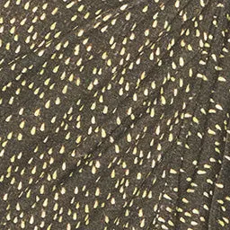 Lisy dress