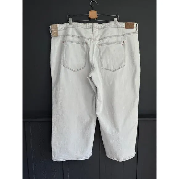 Madewell The Plus Perfect Vintage Wide Leg Crop Jean Edmunds Wash NEW Size 26W