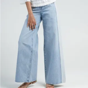 NWT DAILY BLUE/Adriano Goldschmied EASY JEAN in PACIFIC SZ 31