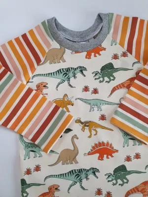 Organic Dinosaur Stripes T-shirt