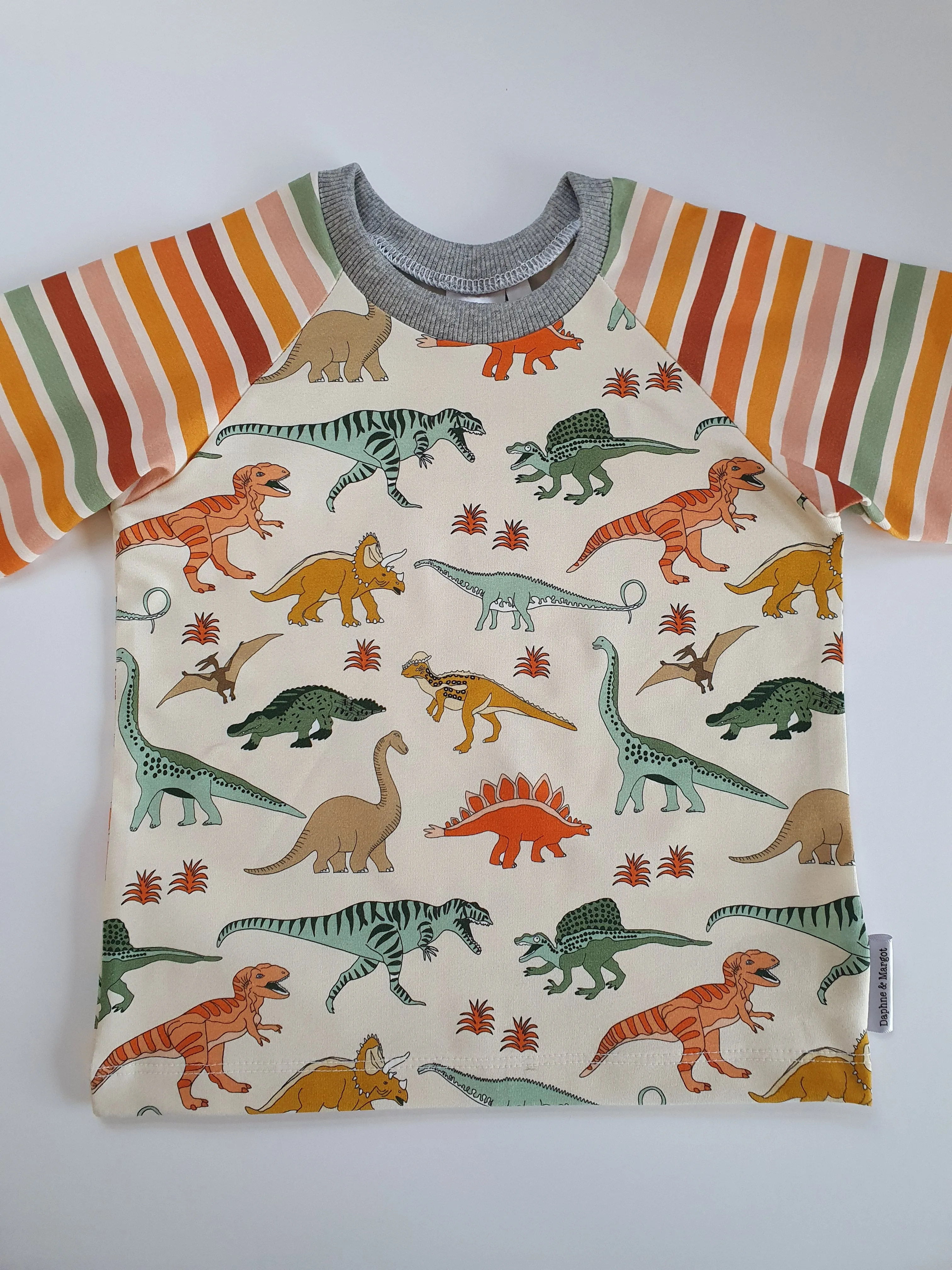 Organic Dinosaur Stripes T-shirt
