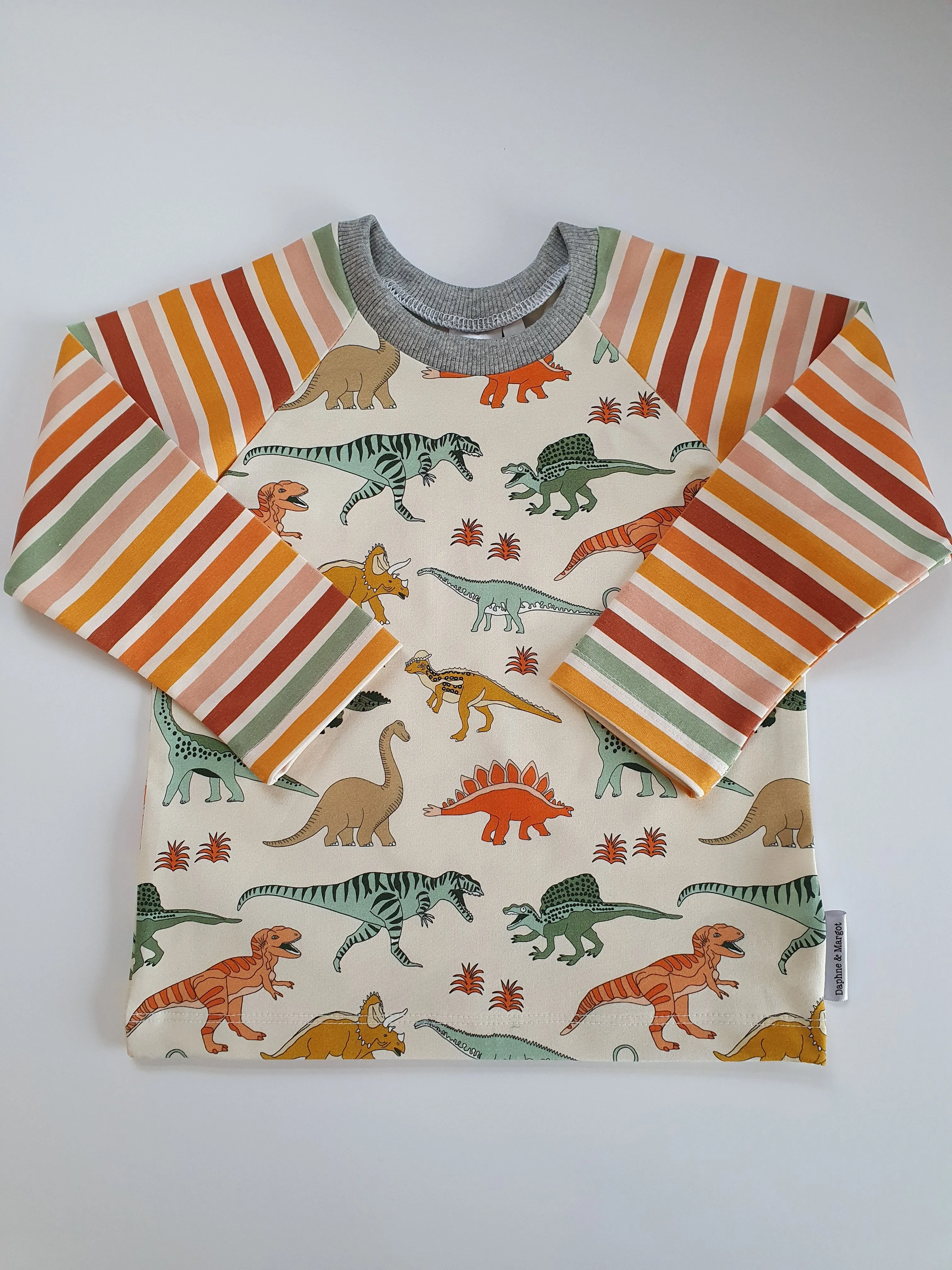 Organic Dinosaur Stripes T-shirt