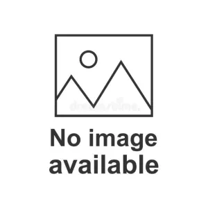 Patagonia Women's CTA Easy Cut Organic T-Shirt