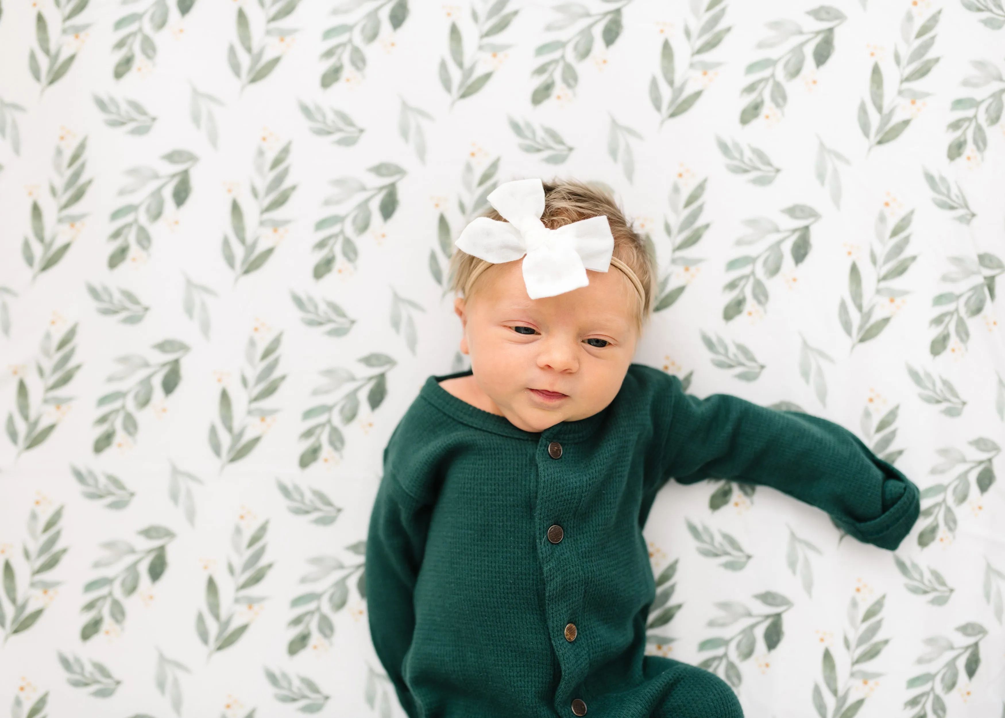 Premium Knit Fitted Crib Sheet - Fern