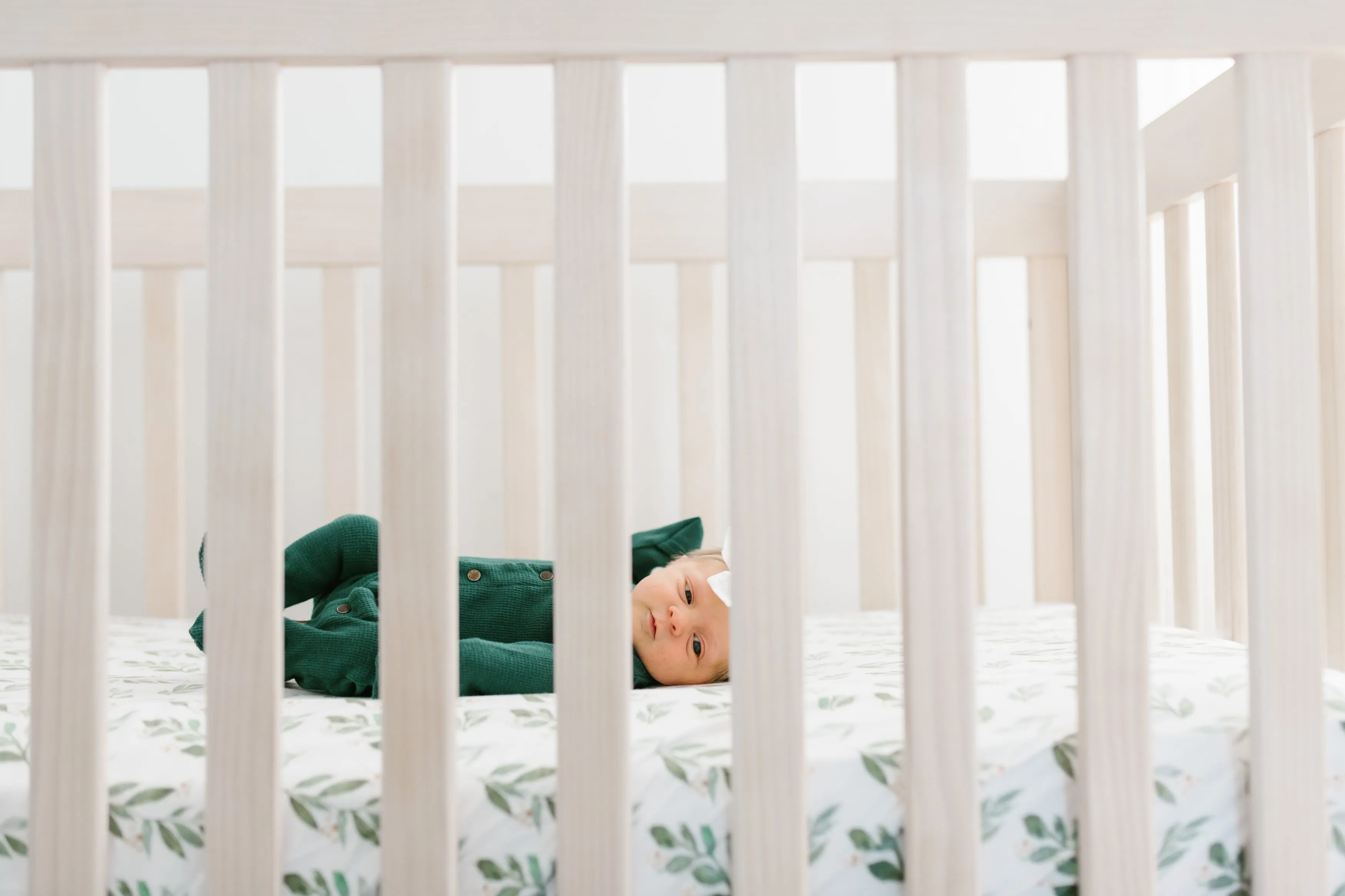 Premium Knit Fitted Crib Sheet - Fern