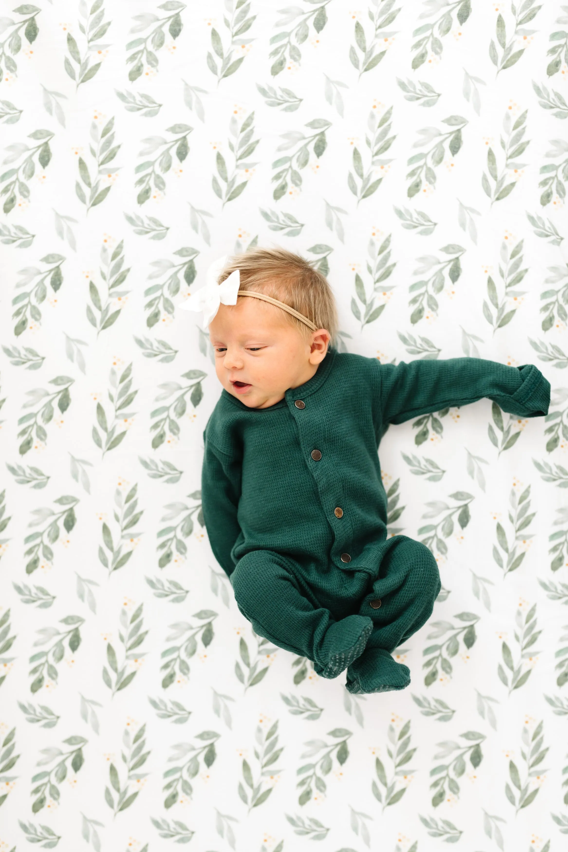 Premium Knit Fitted Crib Sheet - Fern
