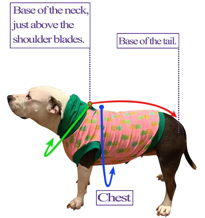 Red Metallic Mrs. Claus Dog Dress